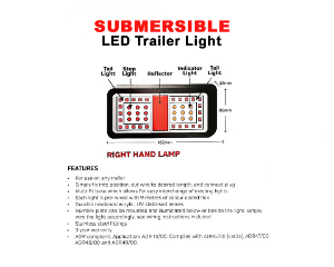 Trojan LED Multi Volt Submersible Combination Light (RHS)