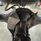 Mitsubishi Triton/Pajero Rear Diff Locker Guard MV New Gen