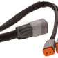 IGNITE Driving light Y harness