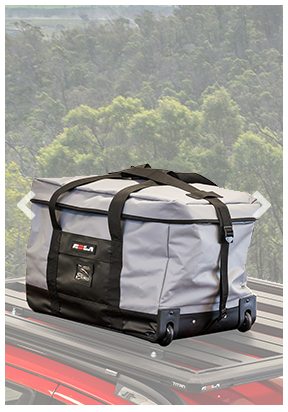 Gray and black cargo bag on a car roof with a forest background